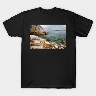 Fossil Beach T-Shirt